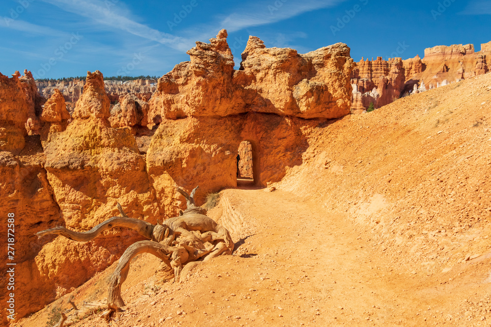 Bryce Canyon National Park, Utah, USA Bryce Canyon National Park, Utah, USA
