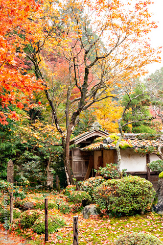 Autumn colors at the Japanese garden of Kongourinji  a temple in Shiga prefecture  Japan