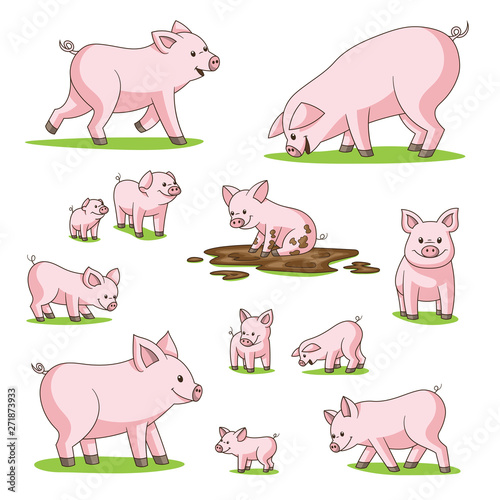 Collection of cute cartoon pigs. Isolated on white background.