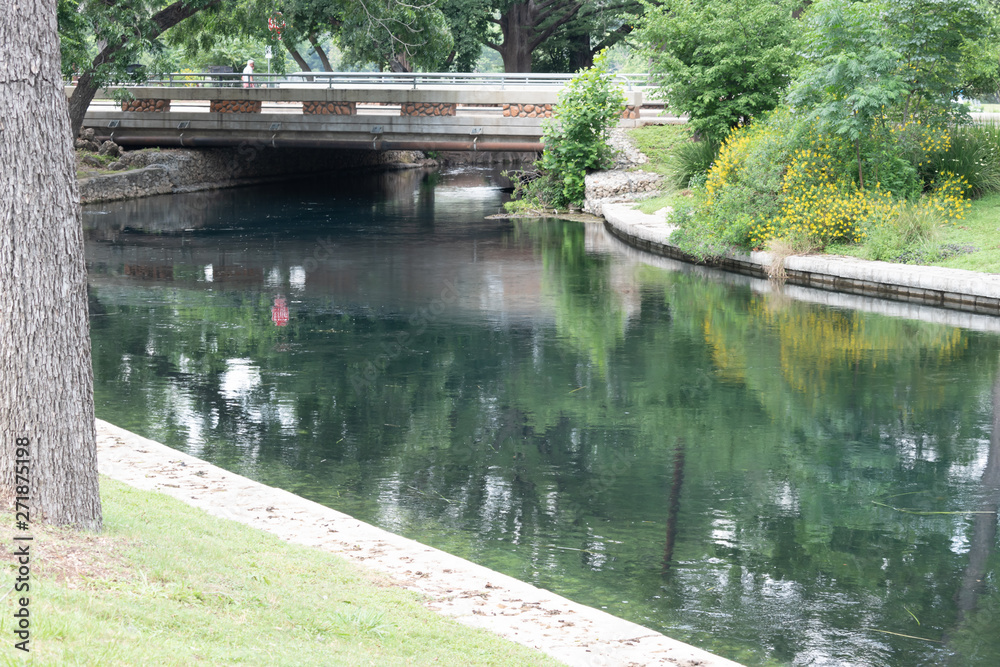 bridge over the river