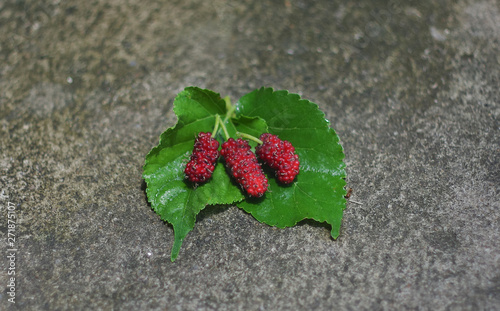 mulberry with vitamin c for my health