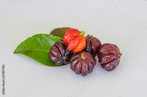 Leaves And Cayenne Cherry photo