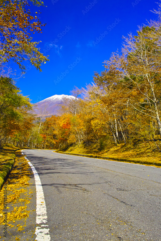 Obraz premium 紅葉シーズンの富士山、富士市の富士スカイラインから見る風景