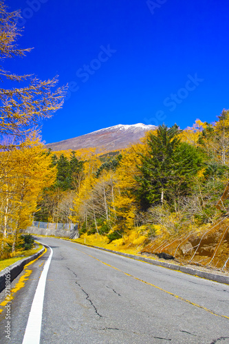 紅葉シーズンの富士山、富士宮市の富士スカイラインから見る風景