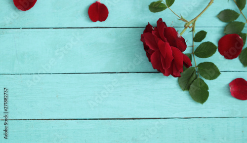Roses background with petals on wooden table. Valentines day love card 