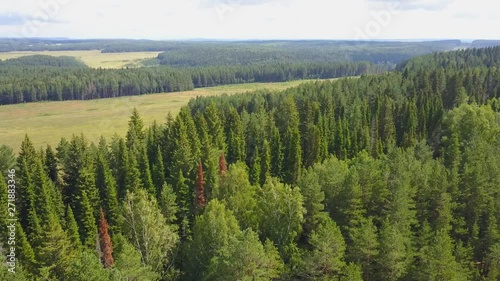 nature landscape