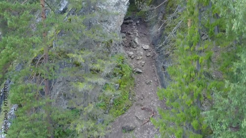 nature landscape