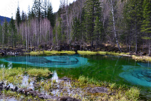 Geyser lake in the forest.