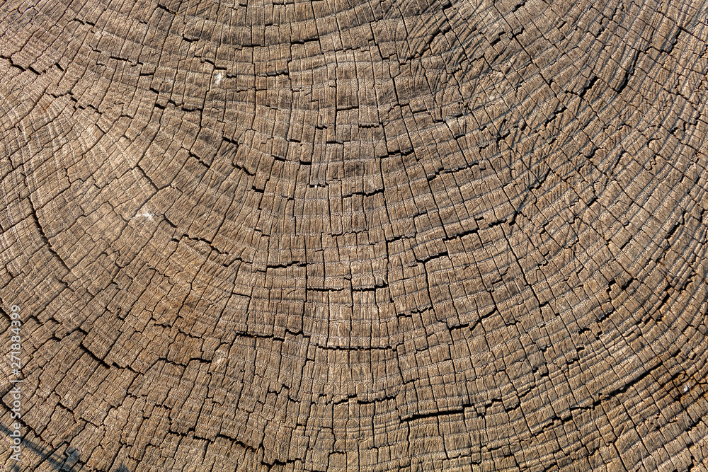 Fototapeta premium Brownish Old Weathered Cracked Wood Texture