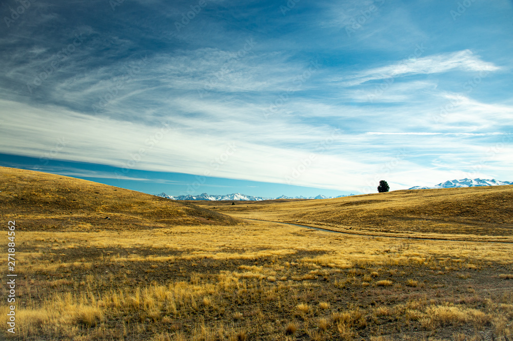 Obraz premium Remarkable scene of dry yellow meadow and snow on high mountains with blue sky and white cloud in South Island landscape, New Zealand.