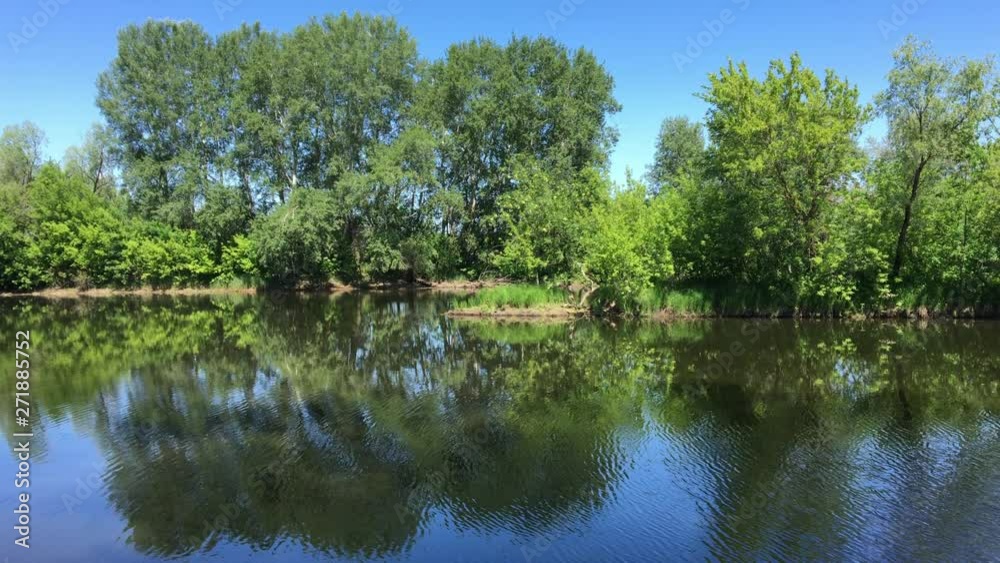 Green trees on the banks of the forest river are reflected in the rippling water Green trees on the banks of the forest river are reflected in the rippling water