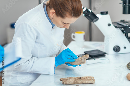 Archaeology Researchers Analyzing Ancient Antler Tool in Laboratory photo