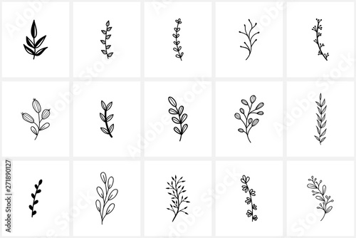 Hand drawn flowers logo elements and icons