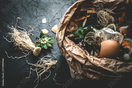 Garbage sorting. Organic food waste from vegetable ready for recycling and to compost on the dark backgrond. Environmentally responsible behavior, ecology concept photo