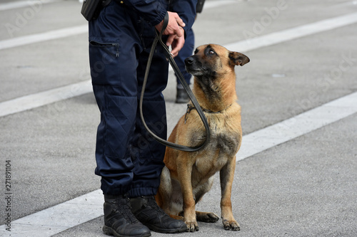 chien gendarme © AUFORT Jérome