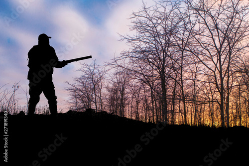 Silhouette of a hunter with a gun in the reeds against the sun, an ambush for ducks with dogs 