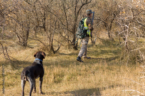 Hunter with a german drathaar and spaniel, pigeon hunting with dogs in reflective vests  © Mountains Hunter