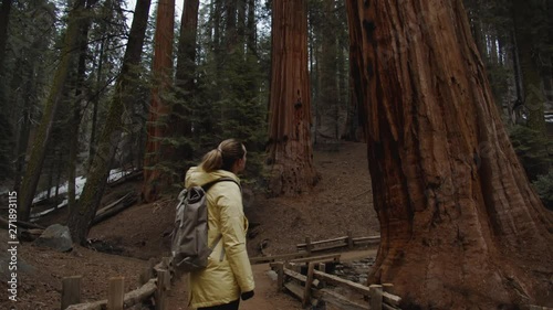 Caucasian female enjoying giant sequoias in the Sequoia National Park, USA. 4K UHD