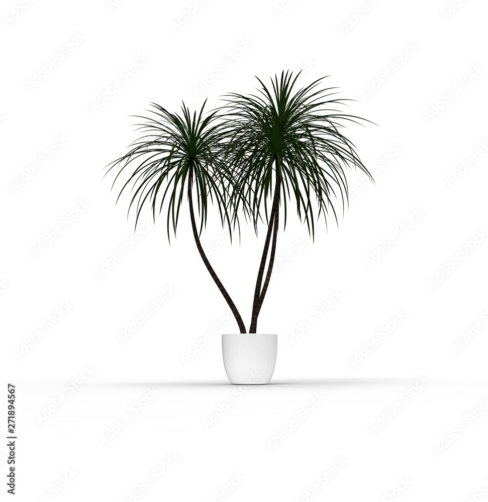 Obraz premium Palm in Pot 3D Rendering
