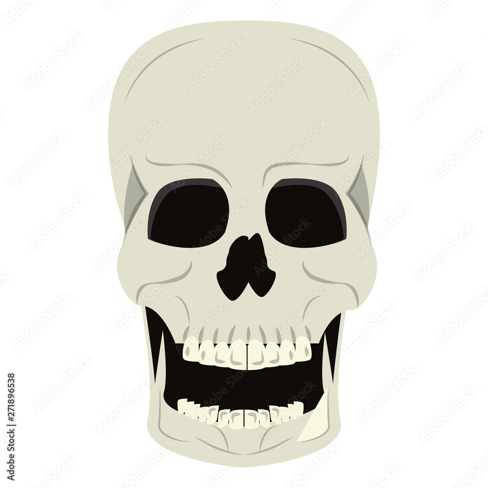 Fototapeta premium Skull human skeleton cartoon isolated symbol