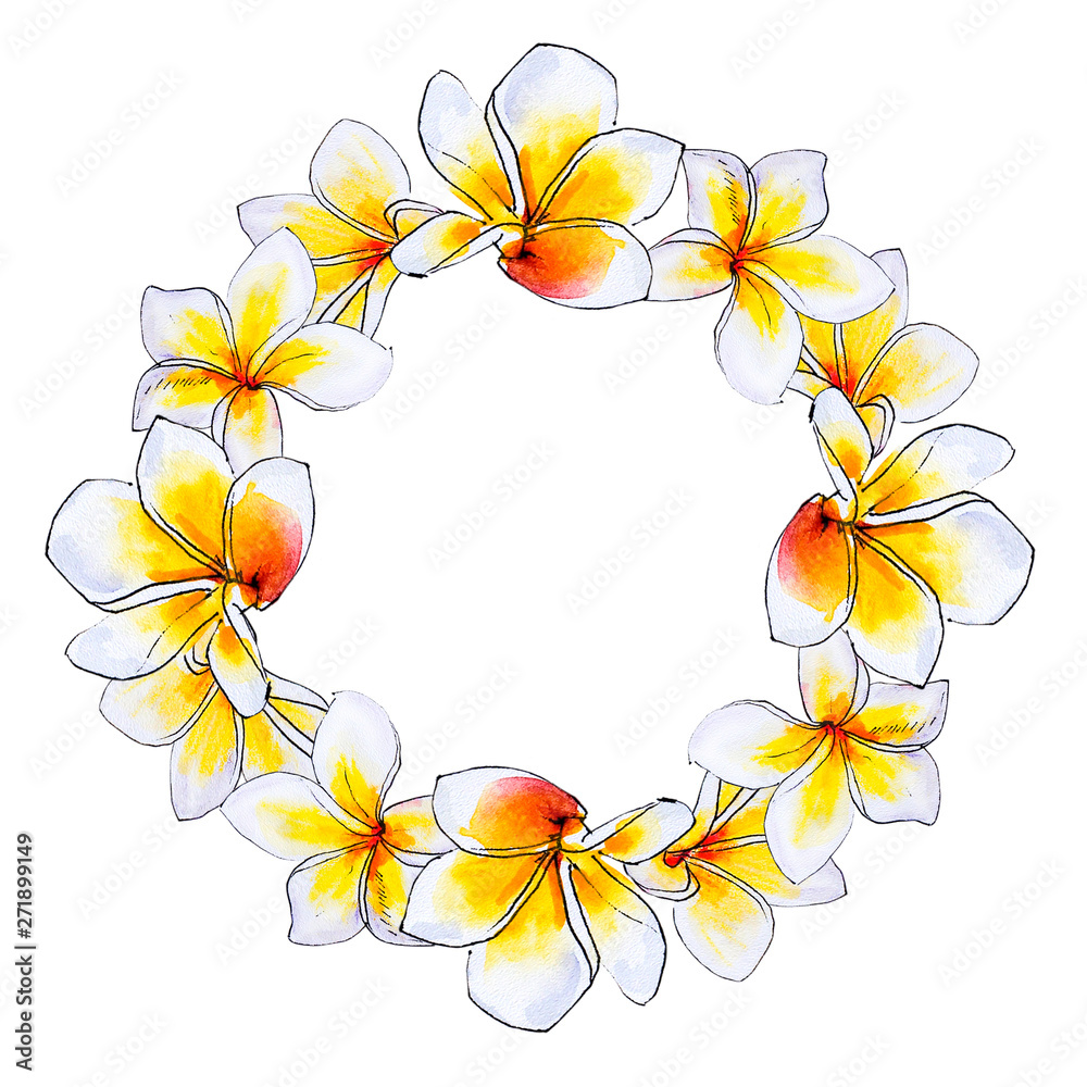 Fototapeta premium Beautiful white plumeria wreath. Frangipani. Watercolor painting. Exotic plant. Floral print. Sketch drawing. Botanical composition. Greeting card. Flower painted background. Hand drawn illustration.