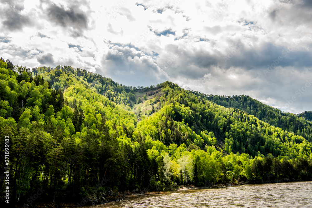 Naklejka premium Beautiful spring landscape in Altai 