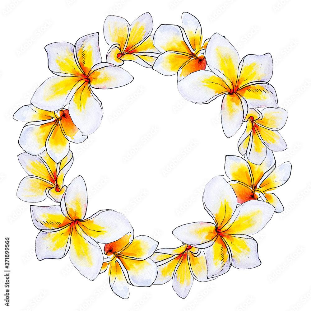 Beautiful white plumeria wreath. Frangipani. Watercolor painting. Exotic plant. Floral print. Sketch drawing. Botanical composition. Greeting card. Flower painted background. Hand drawn illustration.
