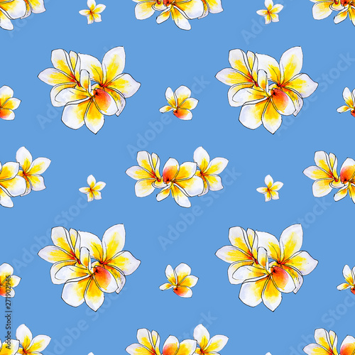 Seamless pattern from white plumeria flowers. Frangipani. Watercolor painting. Exotic plant. Floral print. Sketch drawing. Botanical composition. Flower painted background. Hand drawn illustration. © Diana