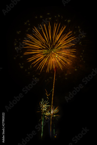 Abstract colored firework background Fireworks light up the sky