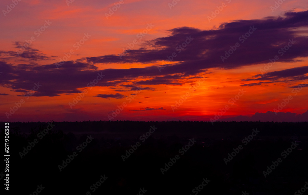 Red sunset forest landscape. Nature horizontal scenery. Picturesque, scenic view background. Vibrant colorful dusk, dawn. Natural wilderness, late night travel. Meeting sunrise outdoors