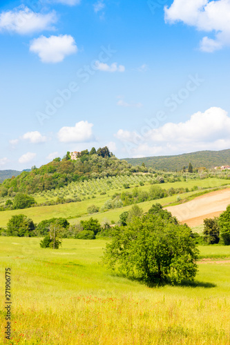 Sunny springtime tuscan country view near Massa Marittima   Italy