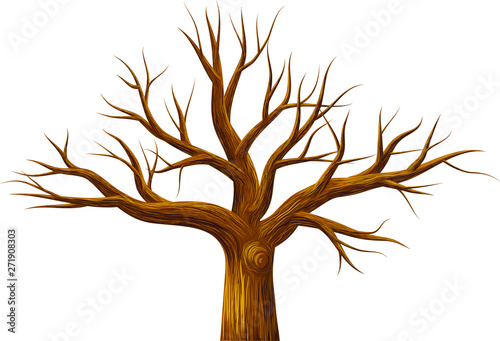 Leafless tree isolated on white background