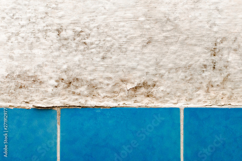 moldy wall in bathroom with blue tile closeup