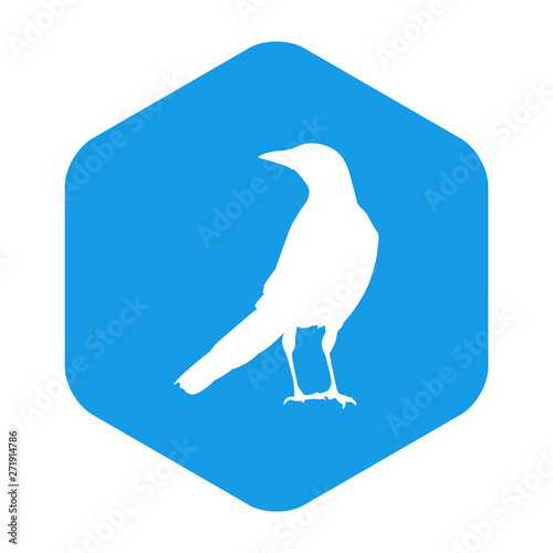 Icono plano silueta cuervo en hexágono color azul