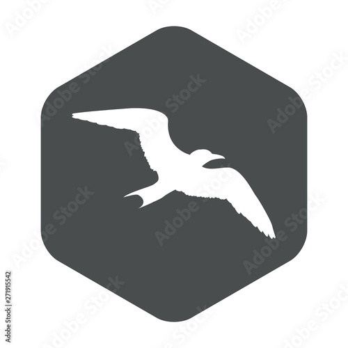 Icono plano silueta de gaviota en hexágono color gris