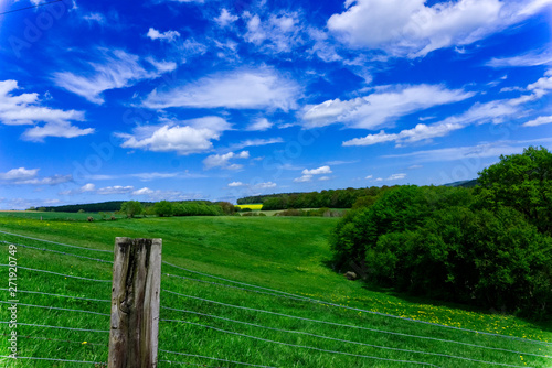 Meadow