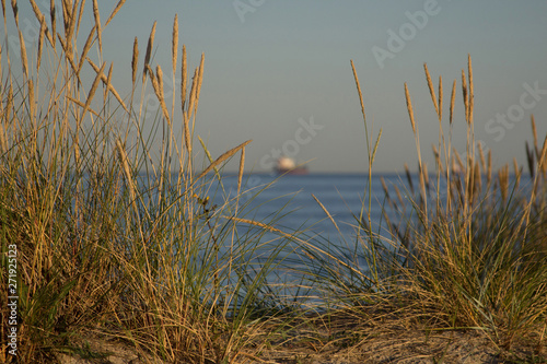 Gr  ser am Strand beim Sonnenuntergang mit Schiff im Hintergrund - Grasses on the beach at sunset with ship in the background