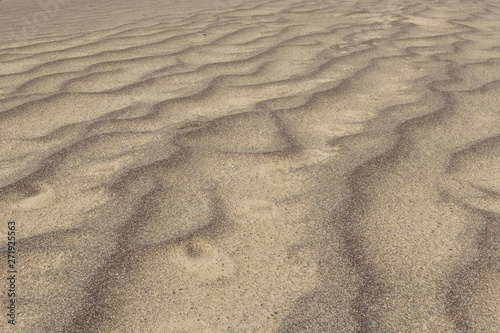 Sand am Strand von Wind wellenf  rmig gestaltet - Sand on the beach wavy shaped by wind