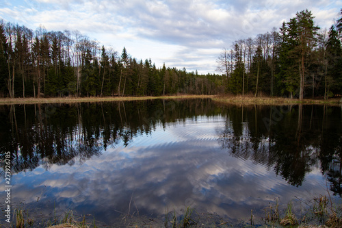 A photo of a small lake in the middle of the forest.