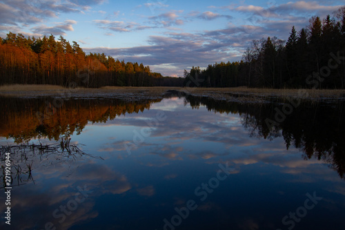 A photo of a small lake in the middle of the forest.