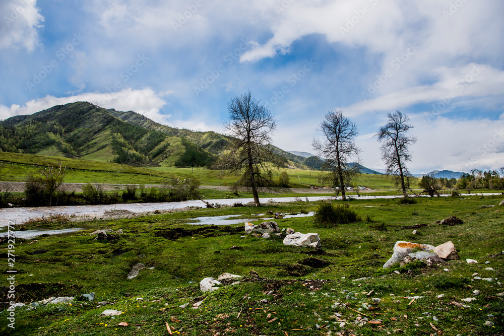 Beautiful spring landscape in Altai 