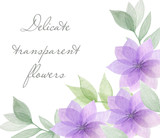  Watercolor transparent flowers illustration. Floral frame. Postcard. Invitation. Background. Design.