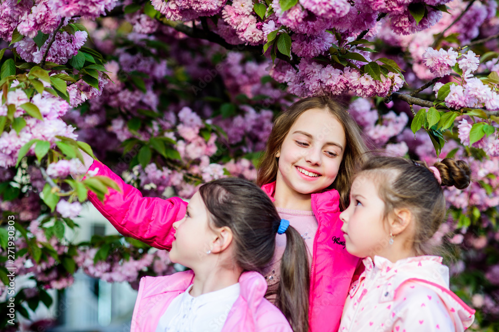 Fototapeta premium Flowers tender bloom. Kids enjoy cherry blossom. True friendship. Pink our favorite. Children spring garden. Sakura garden. Sisters friends sakura trees background. Kids pink flowers of sakura tree
