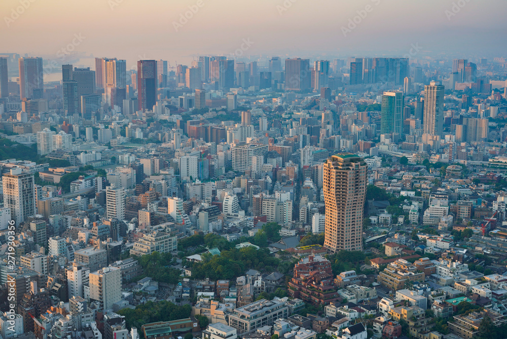 Fototapeta premium 早朝の東京（南麻布、品川方面）（撮影は六本木ヒルズ）