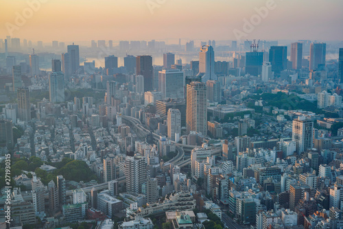 早朝の東京（麻布十番、田町、品川、東京湾方面）（撮影は六本木ヒルズ） photo