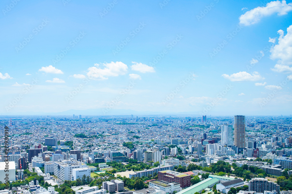 東京市街地（画面右は中目黒）