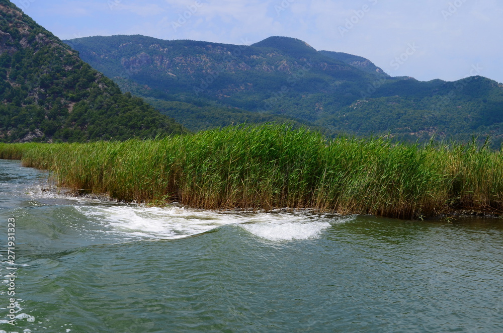 Dalyan River where the Caretta-Caretta turtles live Dalyan River where the Caretta-Caretta turtles live