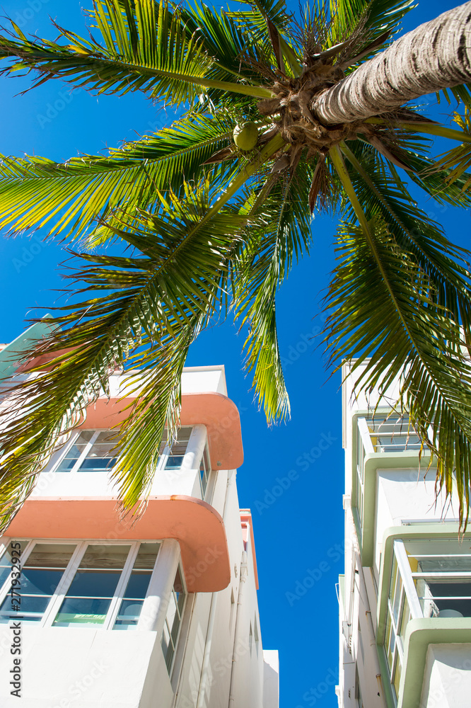 Fototapeta premium Detail close-up of typical colorful Art Deco architecture with tropical palm tree on Ocean Drive in South Beach, Miami, Florida