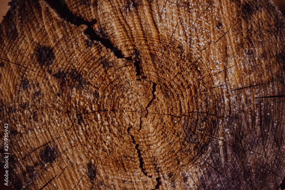 Fototapeta premium texture of wood
