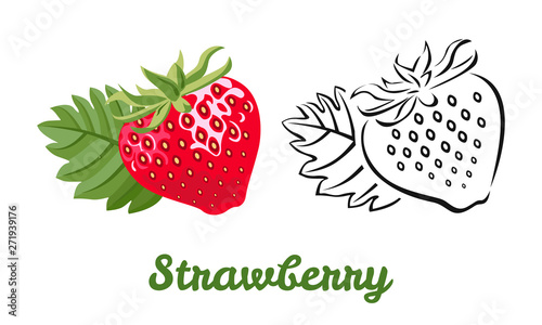 Strawberry icon set isolated on white background. Color illustration of a red ripe berry with a green leaf and a black and white contour image. Vector outline and silhouette.